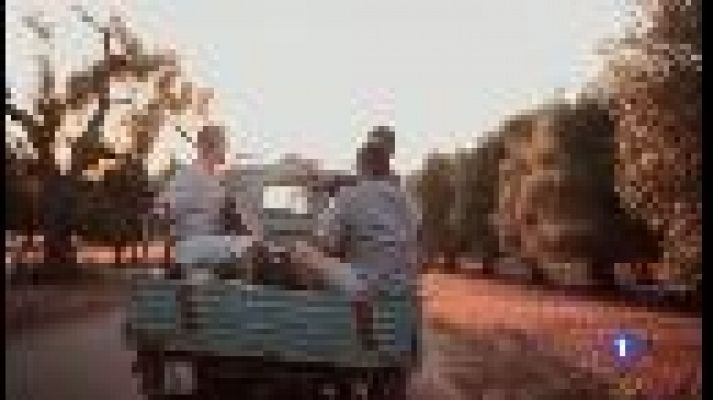 Informatiu Balear - Agenda cultural