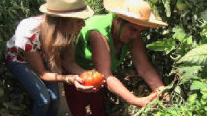 Huevos que son tomates