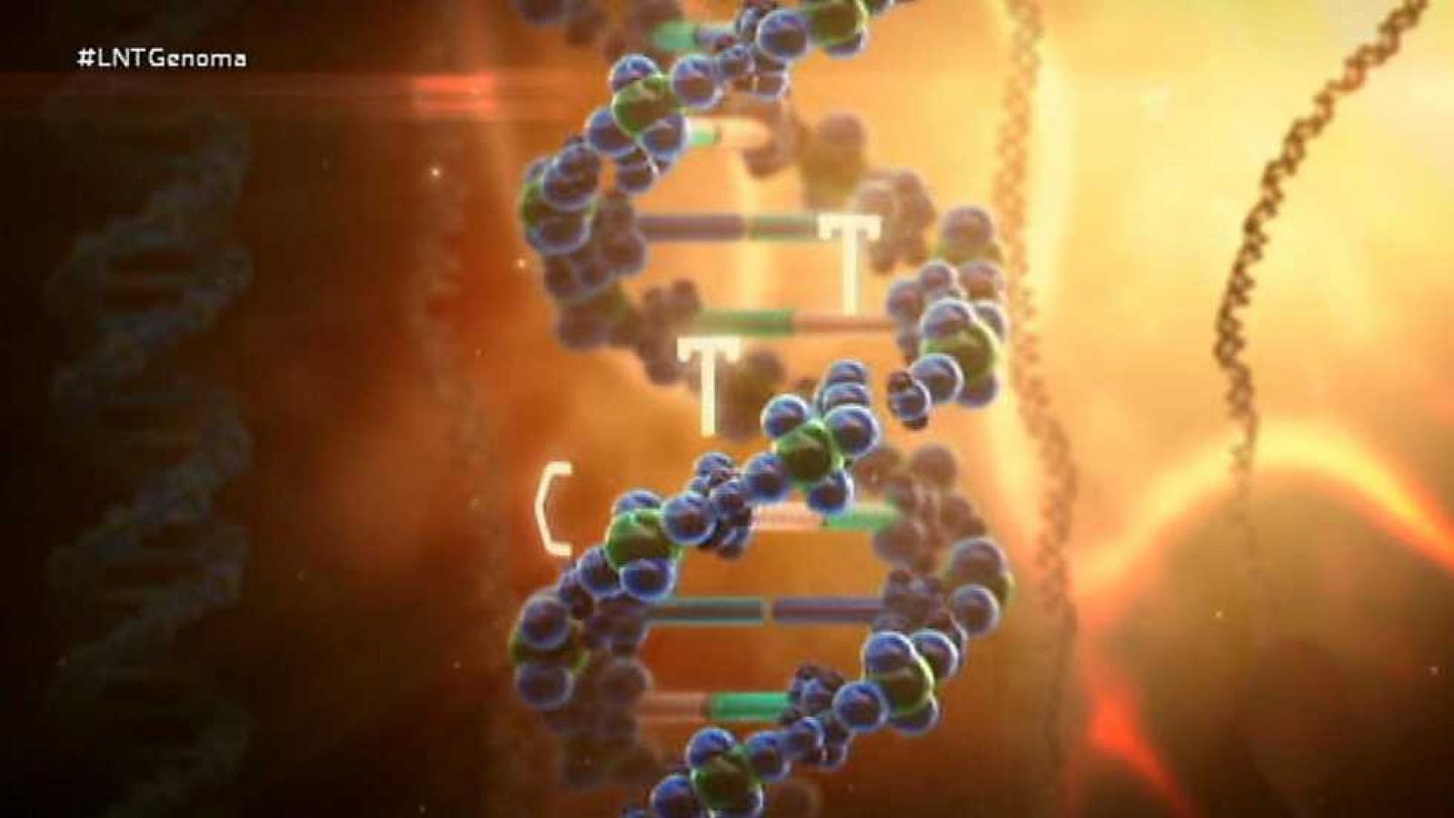 La noche temática - Descifrar nuestro código genético - ver ahora