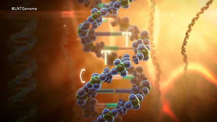 La noche temática - Descifrar nuestro código genético