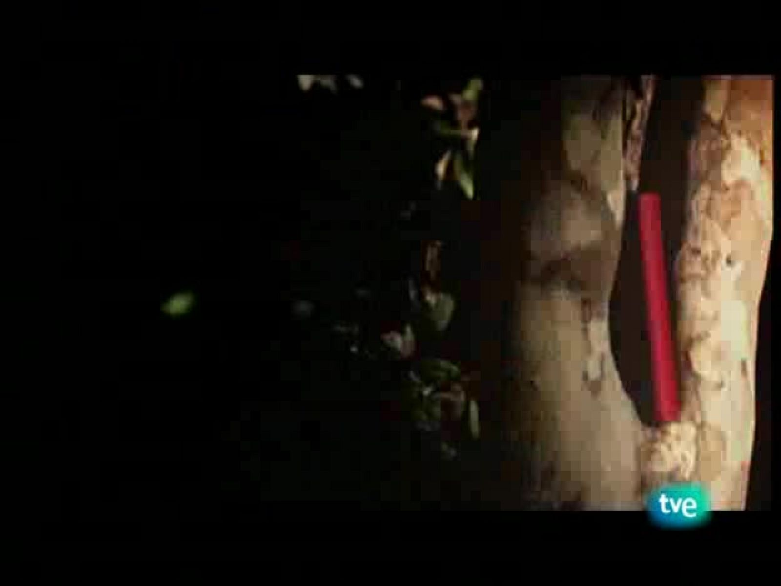 Página 2 - 28/12/08 - Página Dos | Ver