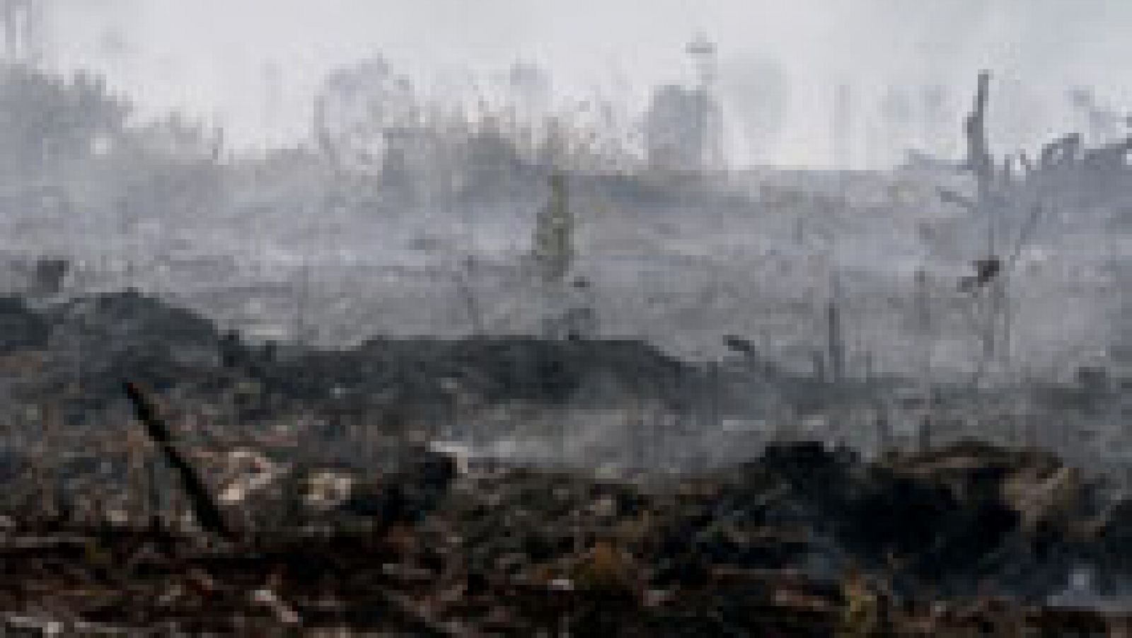 Telediario 1: El fuego deja un paisaje desolador | RTVE Play