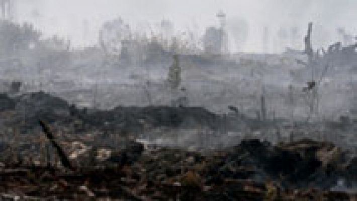 El fuego deja un paisaje desolador