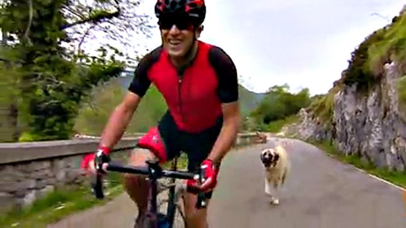La ascensión a los Lagos de Covadonga, precedida por el exigente alto del Mirador del Fito, acogerán la llegada de la décima etapa de la 71ª Vuelta a España, la primera de las tres calificadas de alta montaña.
