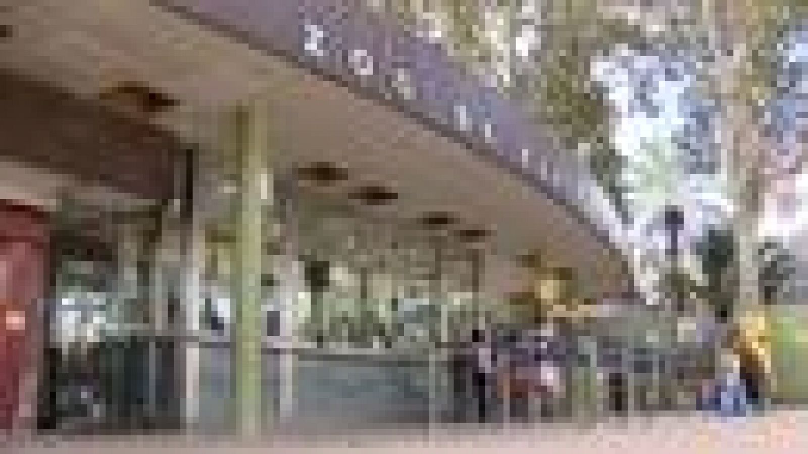 Debat sobre el model i el futur del zoo de Barcelona