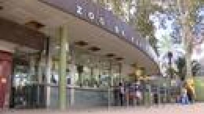 L'Informatiu - Debat sobre el model i el futur del zoo de Barcelona