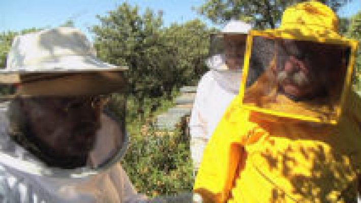 La tribu de los apicultores 