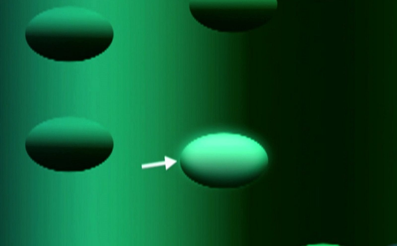 Desafía tu mente - La percepción del movimiento y el contraste