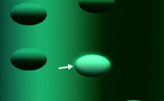 Desafía tu mente - La percepción del movimiento y el contraste