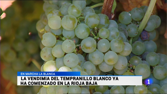 Informativo Telerioja - Telerioja en 2' - 30/08/16