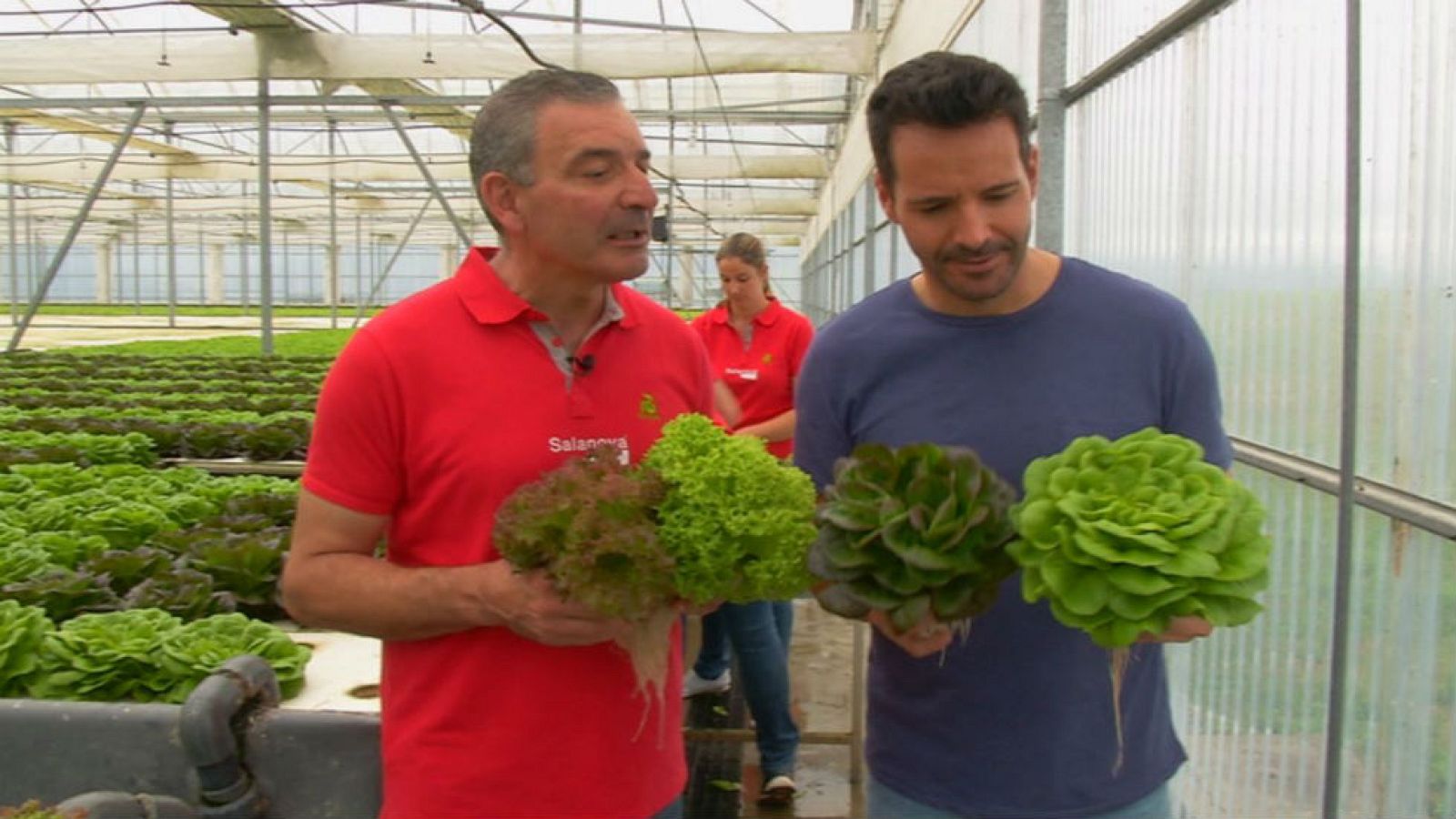 Unas lechugas flotantes