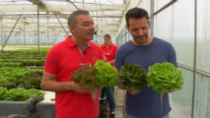 Aquí la Tierra - Unas lechugas flotantes