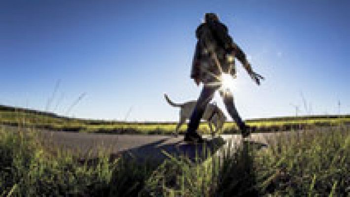 El tiempo - Sube la temperatura en  noreste y Baleares y bajan en Galicia, Andalucía y Canarias