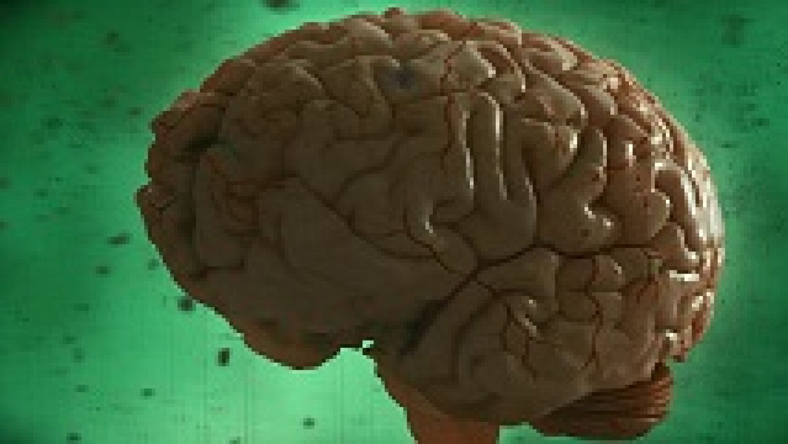 Desafía tu mente: El cerebro es el órgano de la adaptación | RTVE Play