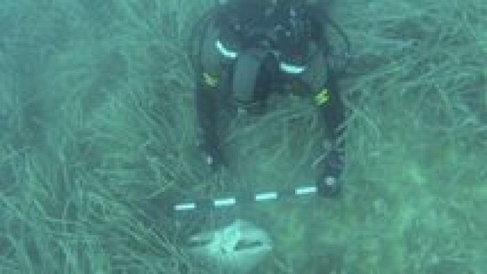 L'informatiu - Comunitat Valenciana - L'Informatiu - Comunitat Valenciana 2 - 01/09/16