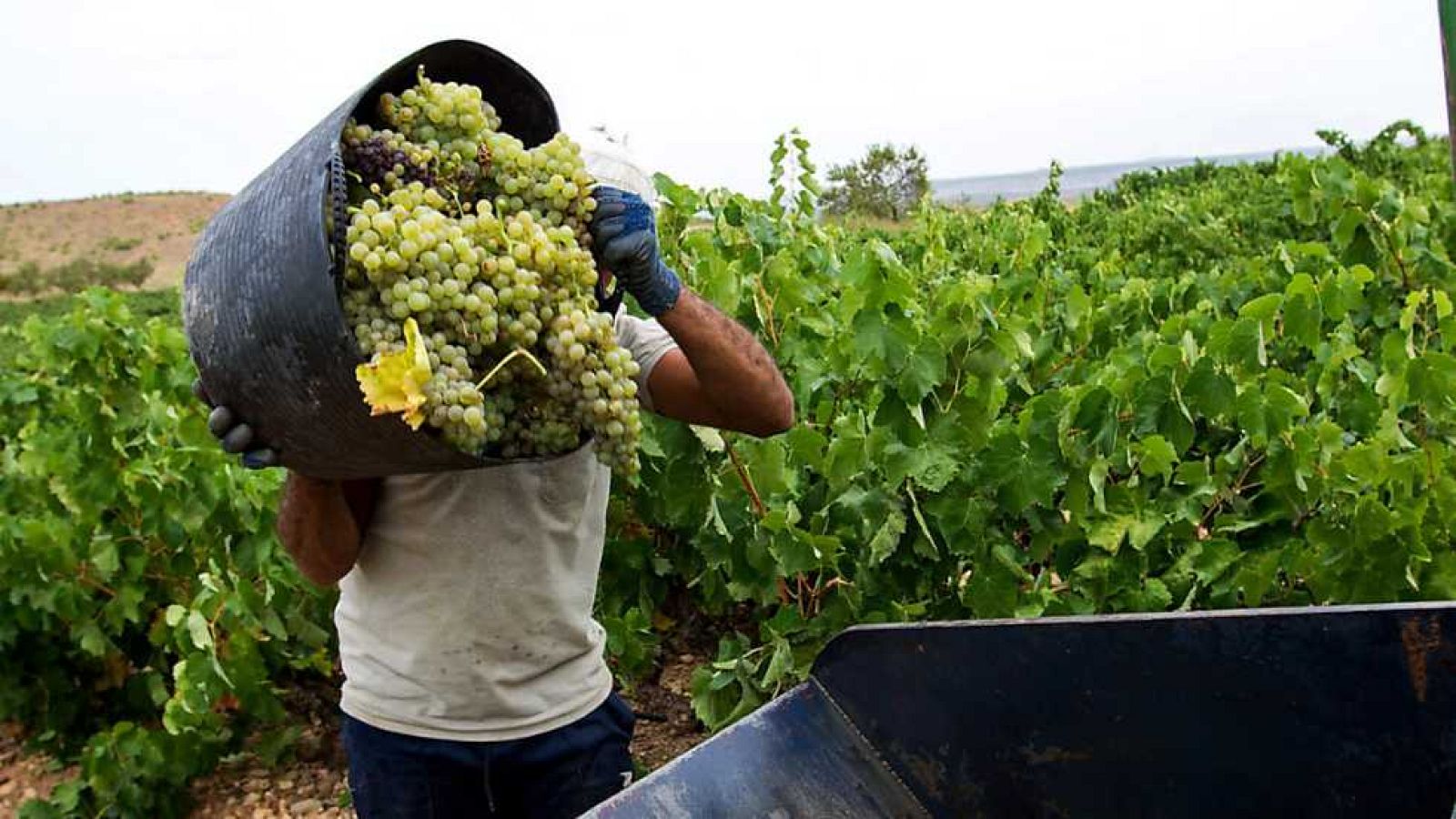 España en 24 horas - 01/09/16 - ver ahora