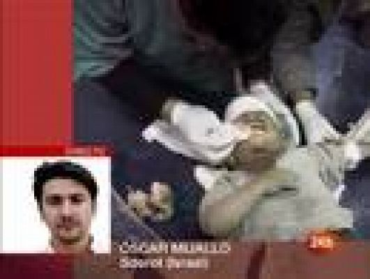  - Última hora desde Gaza