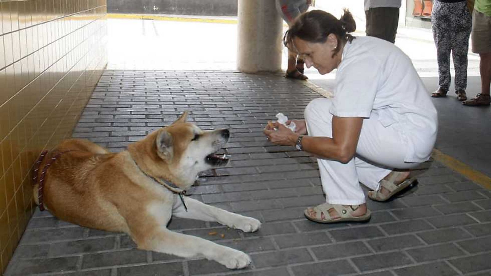 La Comunidad Valenciana en 2' - 02/09/16 - ver ahora