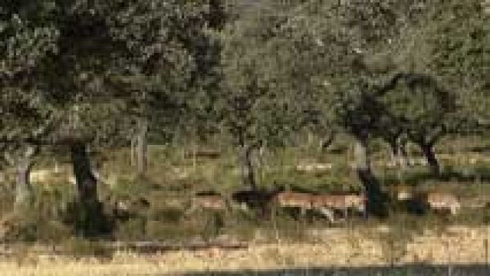 Informativo de Madrid - El Tiempo en la Comunidad de Madrid - 02/09/16