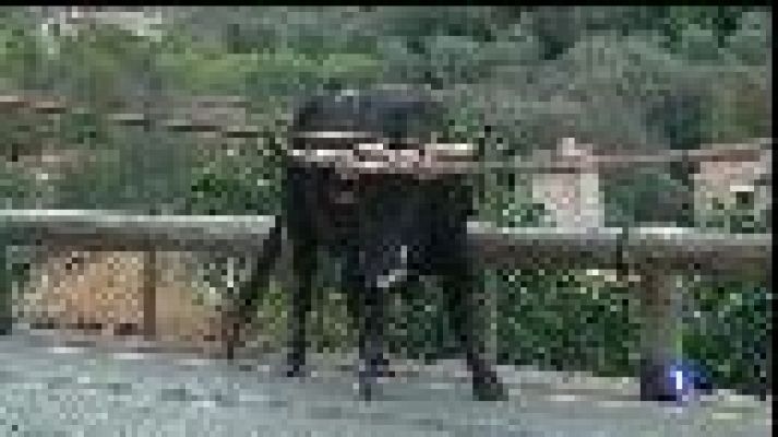 Informatiu Balear - Informatiu Balear en 2' - 02/09/16