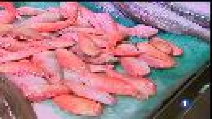 Informatiu Balear - Ja es pot pescar raor