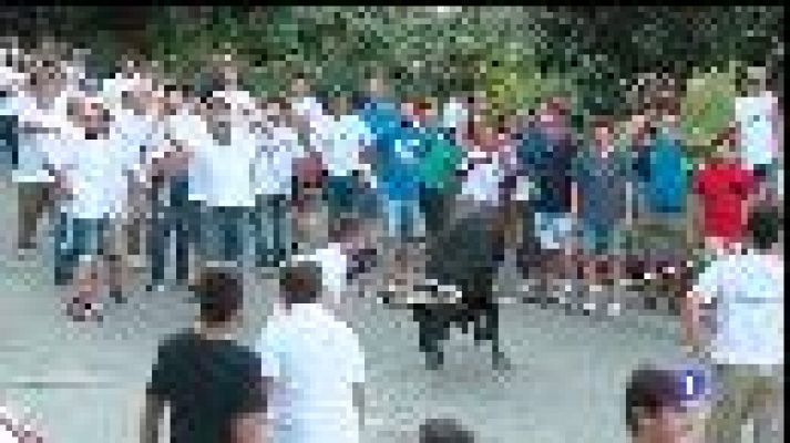 Informatiu Balear - Correbou de Fornalutx