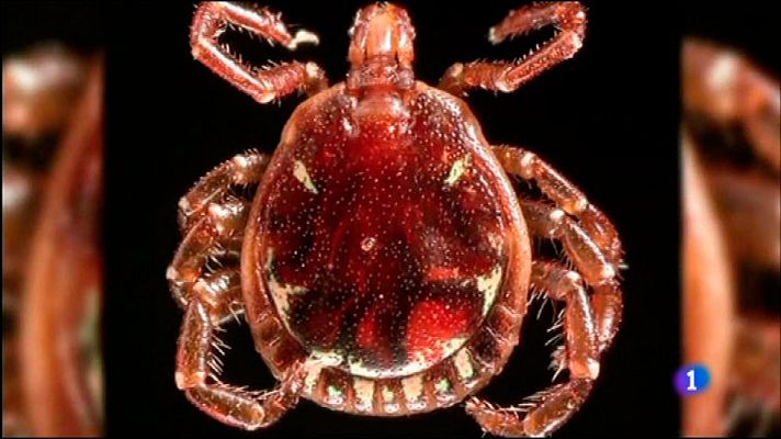 L'Informatiu - L'Informatiu 2 - 2/09/2016