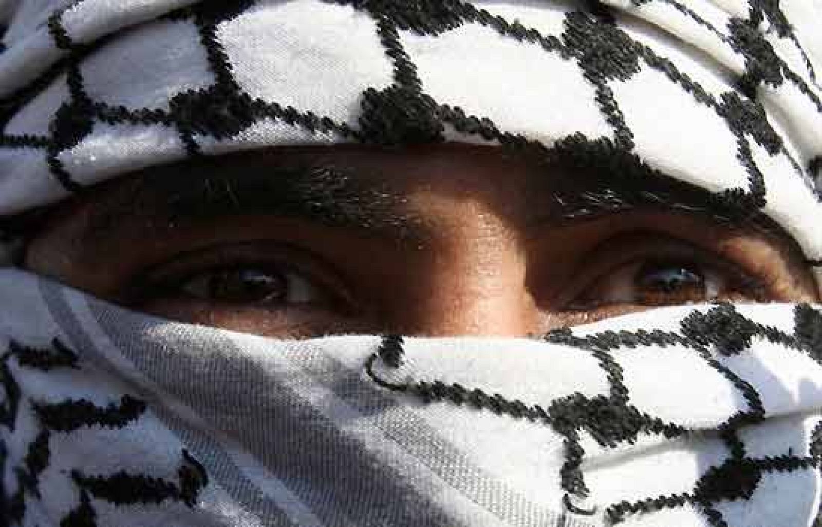 Telediario 1: Telediario en 4' - 29/12/08 | RTVE Play