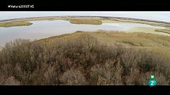 Red Natura 2000 - Humedales de la Mancha - Camilo Oriol. Propietario