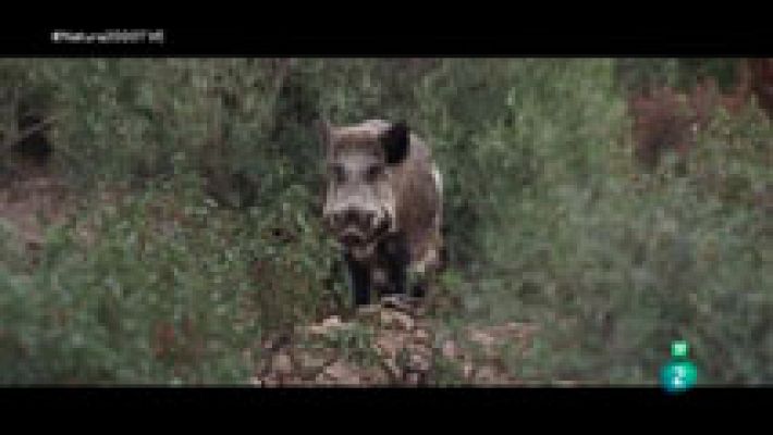 Red Natura 2000 - Humedales de la Mancha - Camilo Oriol. Propietario