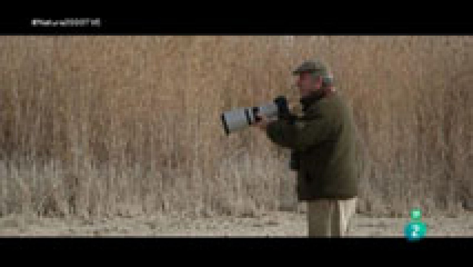 Red Natura 2000:  L'Albufera - Lucía Moreno. Filtros verdes El Tancat | RTVE Play