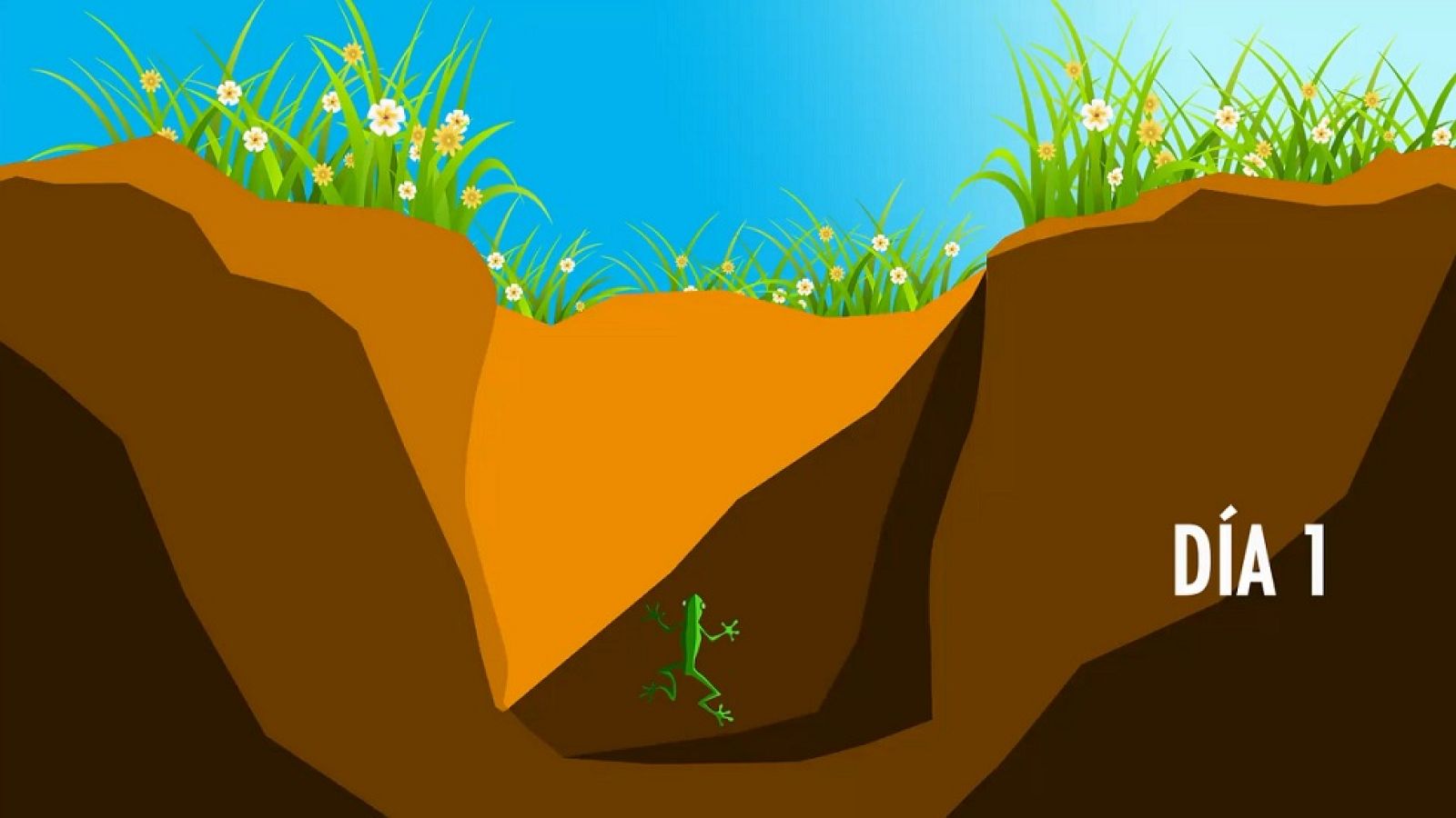 Desafía tu mente - El enigma de la rana