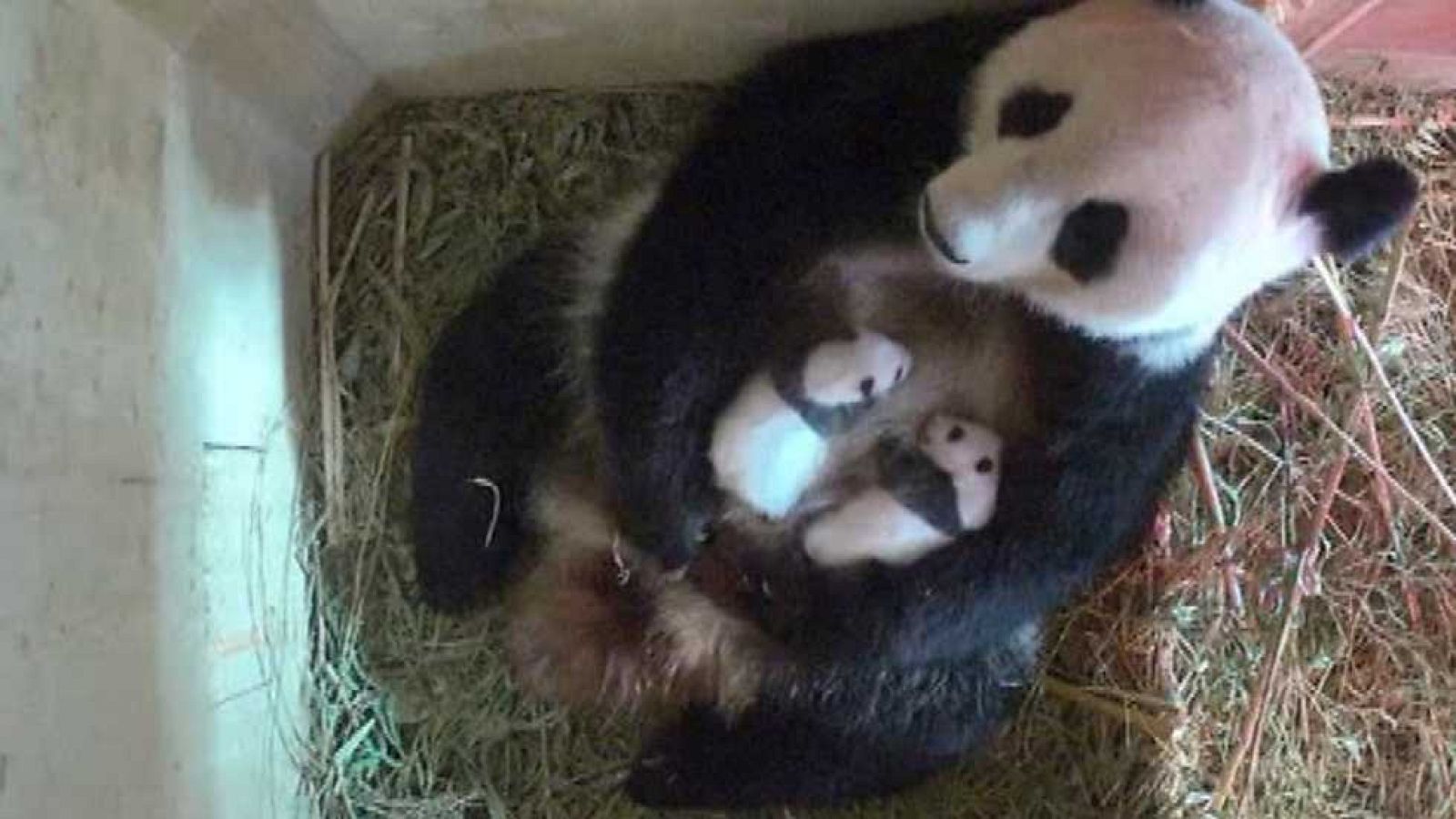 La 2 Noticias - 06/09/16 - ver ahora