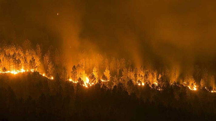 Telediario 1 - El fuego arrasa más de 3.000 hectáreas en Ourense en apenas 24 horas