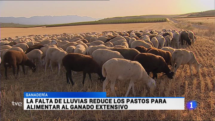 Informativo Telerioja - Informativo Telerioja - 07/09/16