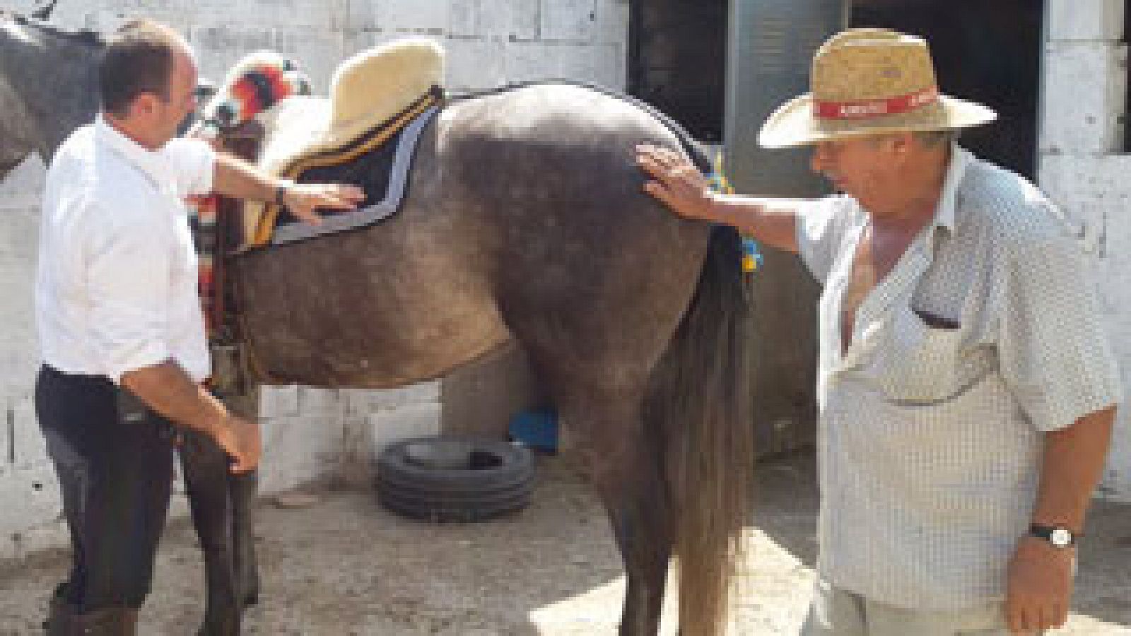 Segorbe celebra la primera Entrada de Toros y Caballos