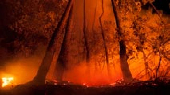 Telediario 1 - Telediario Matinal en Cuatro Minutos 08/09/16