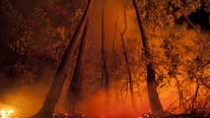 Telediario 1 - Telediario 1 en 4' - 08/09/16