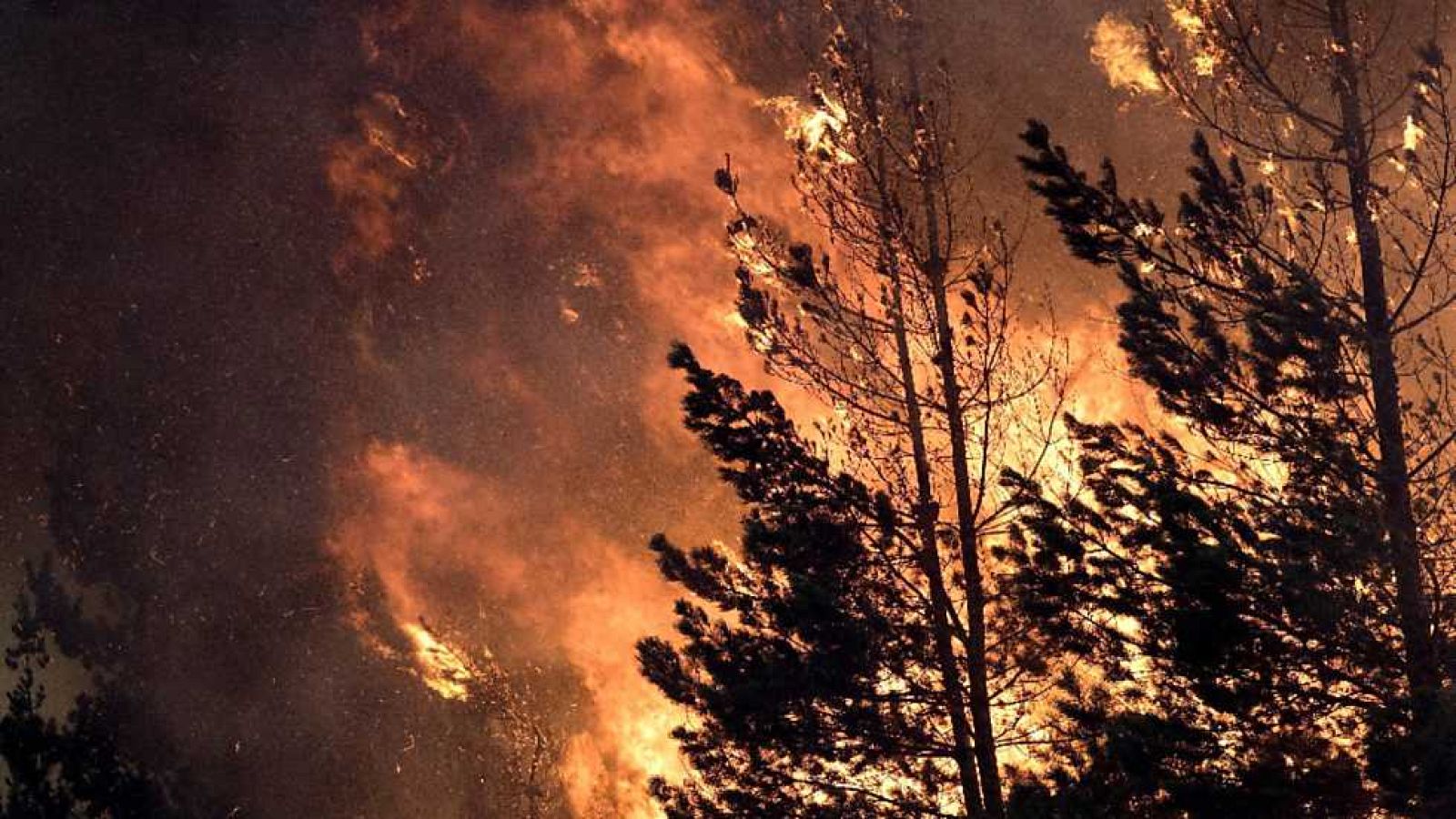 Telediario - 15 horas - 08/09/16 - Lengua de signos - ver ahora