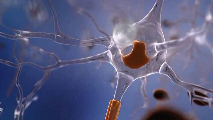 Desafía tu mente - La capacidad del cerebro para realizar cálculos