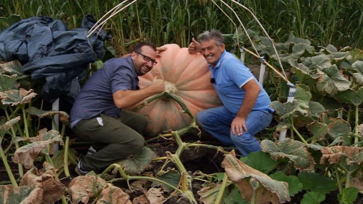 Aquí la Tierra - Unas calabazas de récord