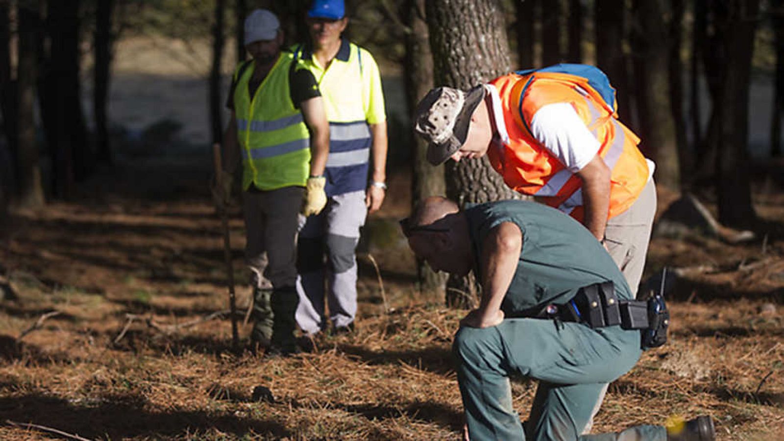 Informe Semanal - Investidura: ¿Dónde está Diana? - ver ahora