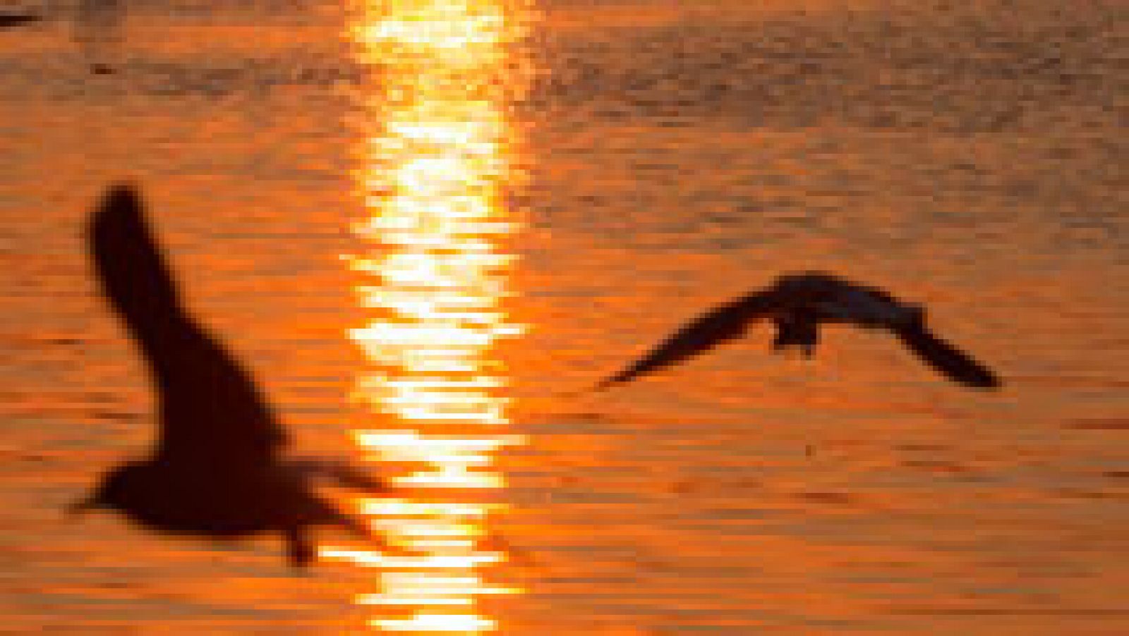 El tiempo: Cielos nubosos con nubes de evolución diurna en el tercio oriental peninsular y Baleares | RTVE Play