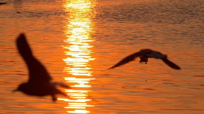 El tiempo - Cielos nubosos con nubes de evolución diurna en el tercio oriental peninsular y Baleares