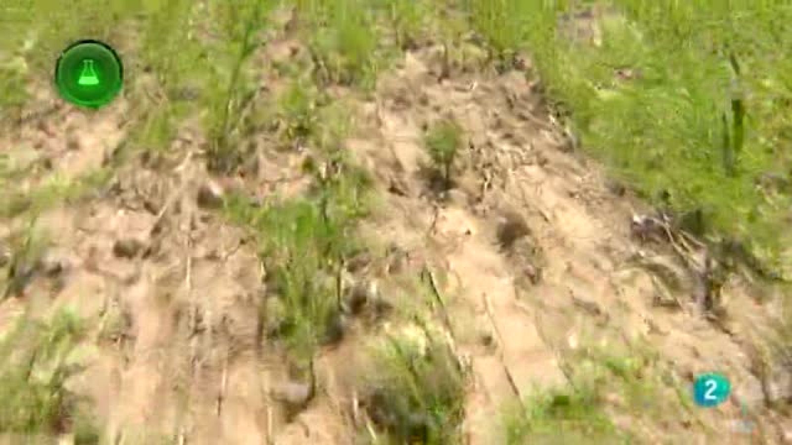 Agrosfera - Laboratorio de ideas - Cereal y Drones