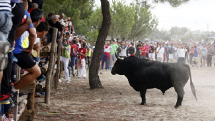 El pueblo de Tordesillas (Valladolid) celebra este martes sus primeras fiestas sin su Toro de la Vega
