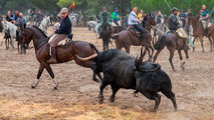 Telediario 1 - Del Toro de la Vega al Toro de la Peña