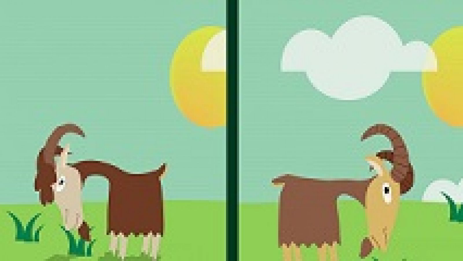 Desafía tu mente: ¿Pueden verse estas cabras sin moverse? | RTVE Play