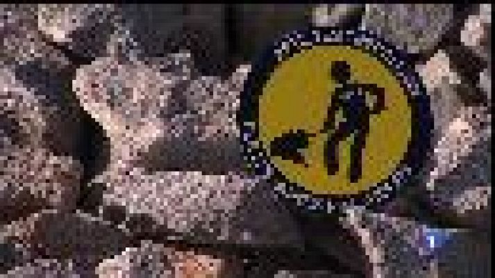 Informatiu Balear - Demanen que un jurat elegeixi les obres en espais públics