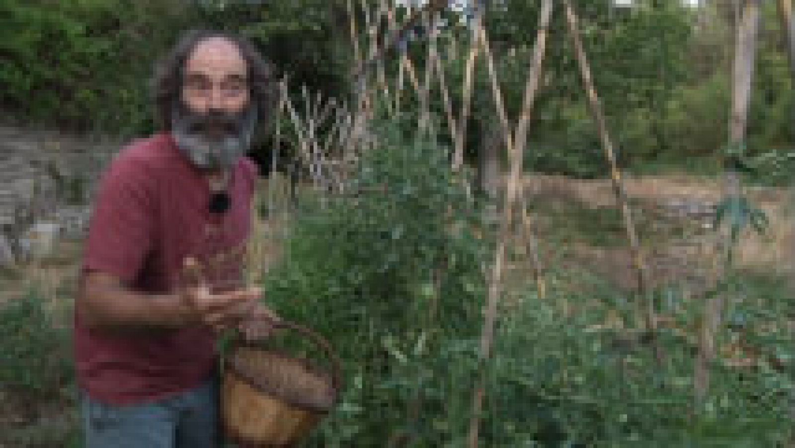 Un huerto "seco" y muy vivo